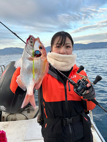 レンコダイの釣果