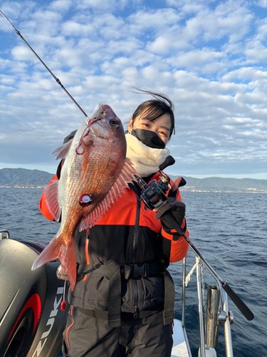 タイの釣果