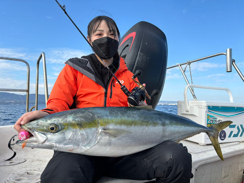 ブリの釣果