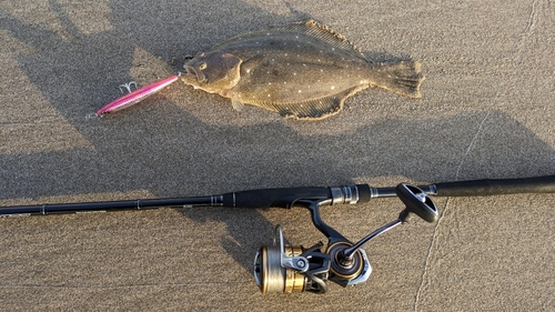 ソゲの釣果