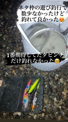 タチウオの釣果