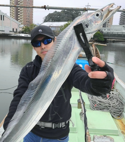 タチウオの釣果