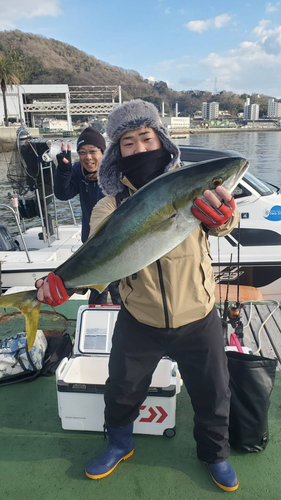 ブリの釣果