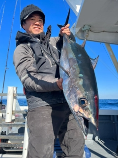 ビンチョウマグロの釣果