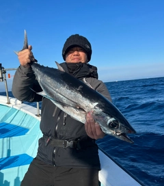 ビンチョウマグロの釣果