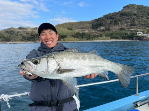 ヒラスズキの釣果