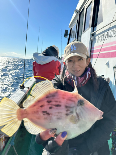 カワハギの釣果