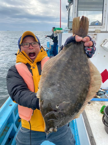 マコガレイの釣果