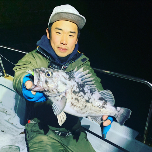 クロソイの釣果