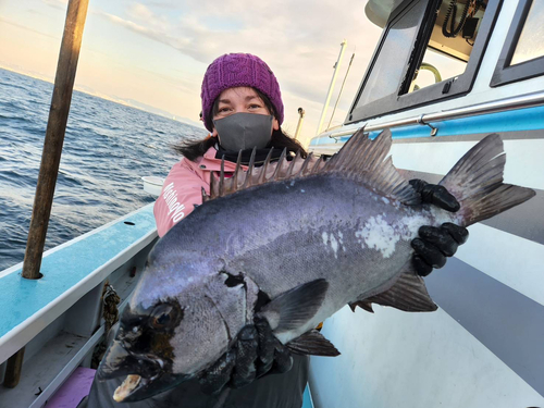 イシダイの釣果