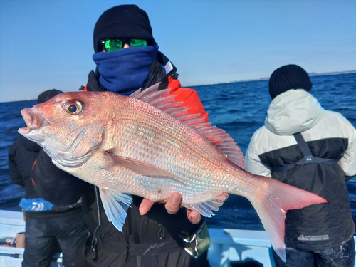 タイの釣果