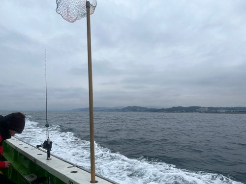 アマダイの釣果