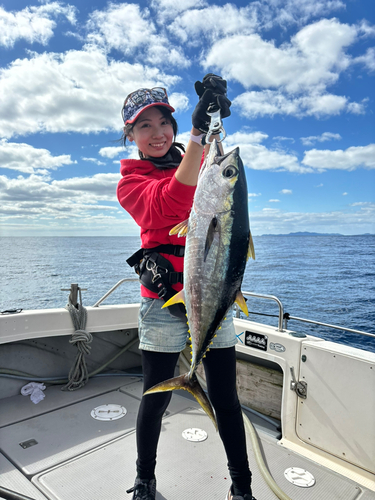 キハダマグロの釣果