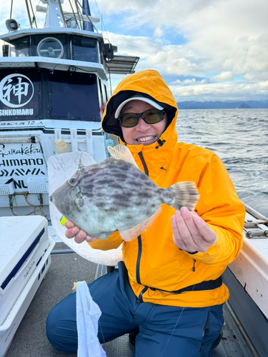 カワハギの釣果