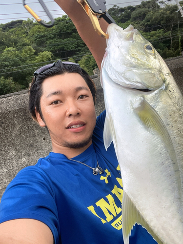 オニヒラアジの釣果