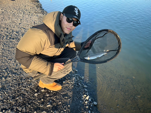 ニジマスの釣果