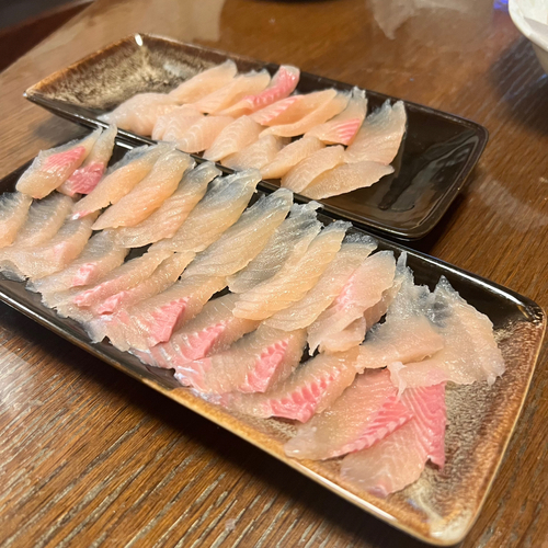 ニジマスの釣果