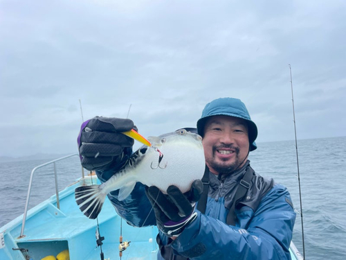 トラフグの釣果