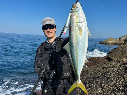 メジロの釣果