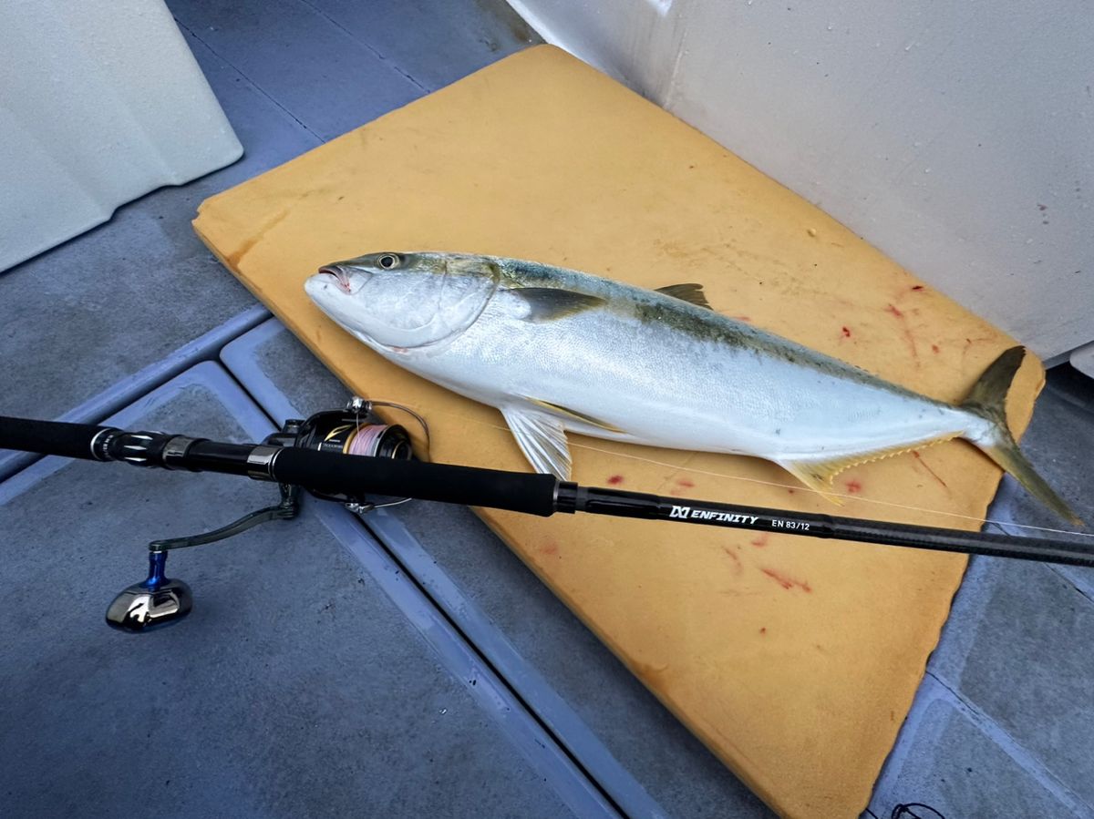 ヒラマサを求める人さんの釣果 2枚目の画像