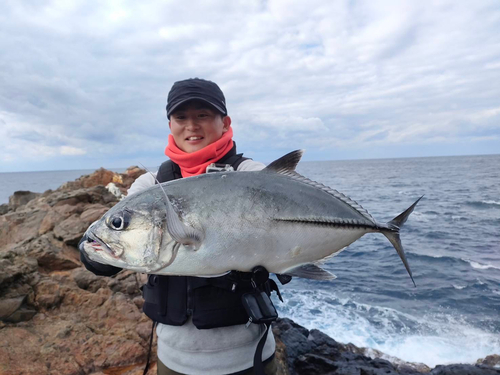 ギンガメアジの釣果