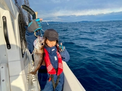 クロムツの釣果