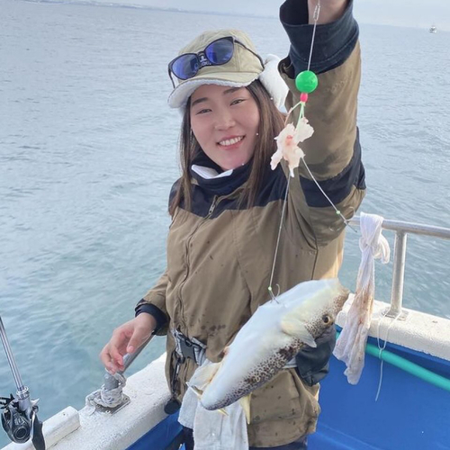 ショウサイフグの釣果