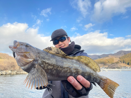 アイナメの釣果