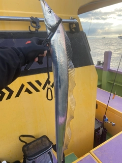 タチウオの釣果