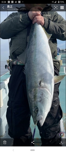 ブリの釣果