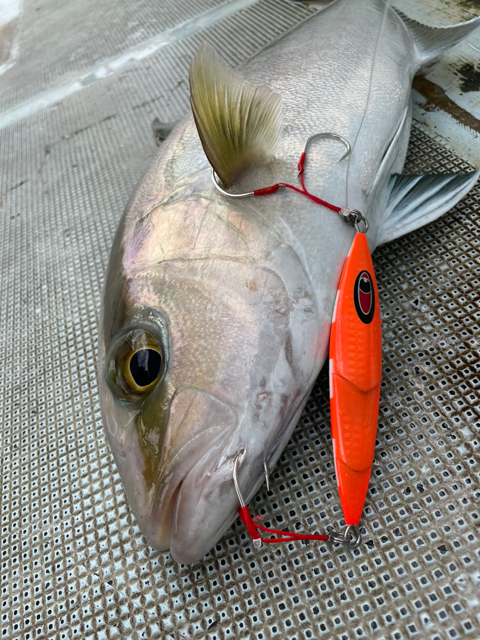 SHIMANO 19オシアジガー ∞ (インフィニティ) B63-5の最安値 SHIMANO 19オシアジガー ∞ (インフィニティ) B63-5の最安値