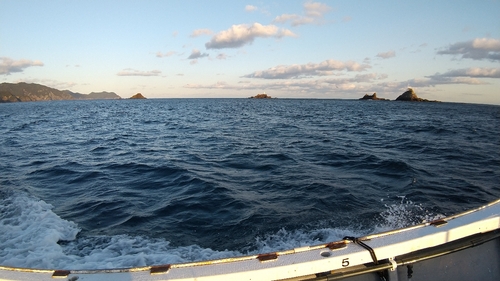 マイカの釣果