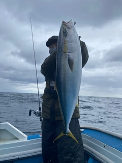 ヤズの釣果