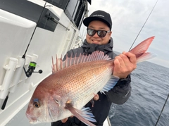 マダイの釣果