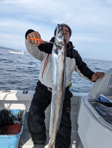 タチウオの釣果