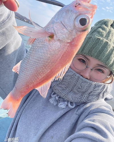 アカムツの釣果