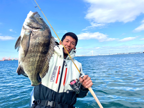 クロダイの釣果