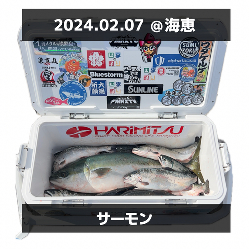 トラウトの釣果