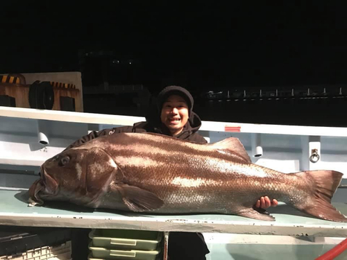 イシナギの釣果