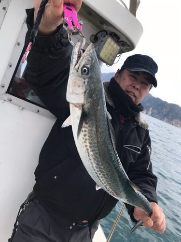 ハマチの釣果