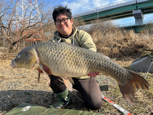 コイの釣果