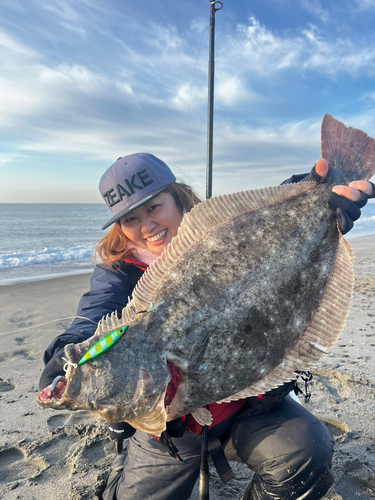 ヒラメの釣果