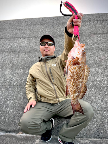 オオモンハタの釣果