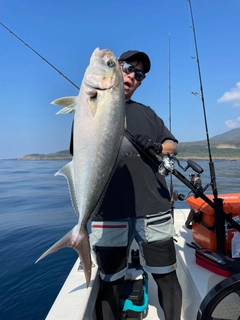 カンパチの釣果