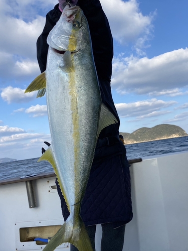 ヒラマサの釣果