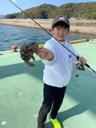 アラカブの釣果