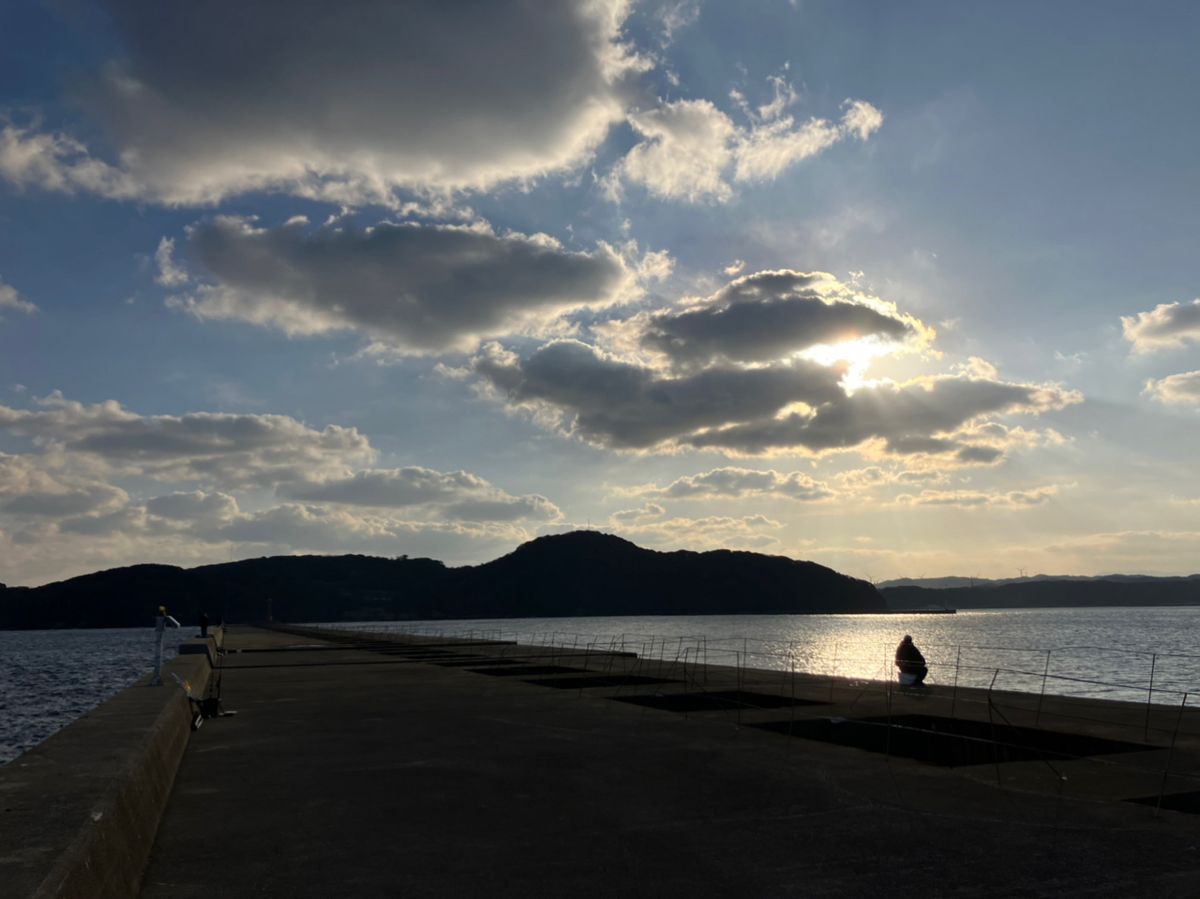 めんたいさんの釣果 3枚目の画像