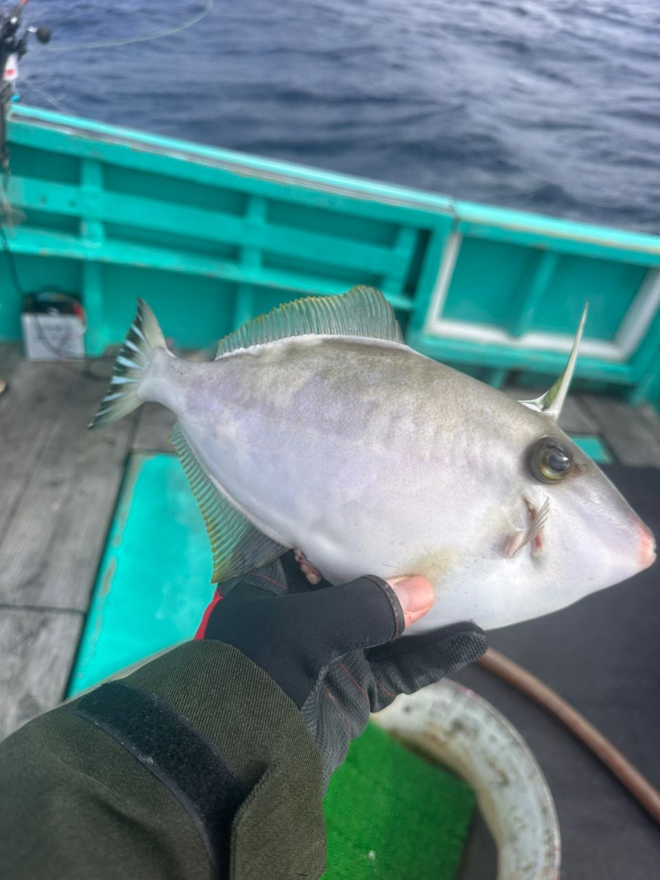 捕食者(クラウモノ)さんの釣果 3枚目の画像