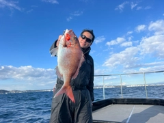 マダイの釣果