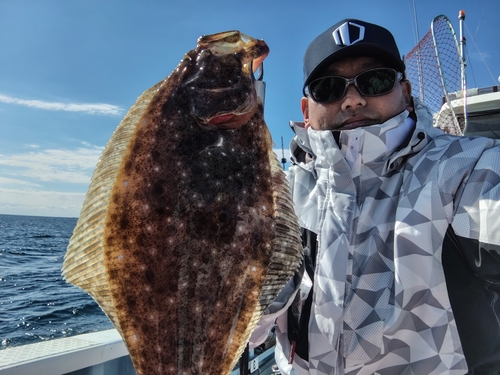 ヒラメの釣果